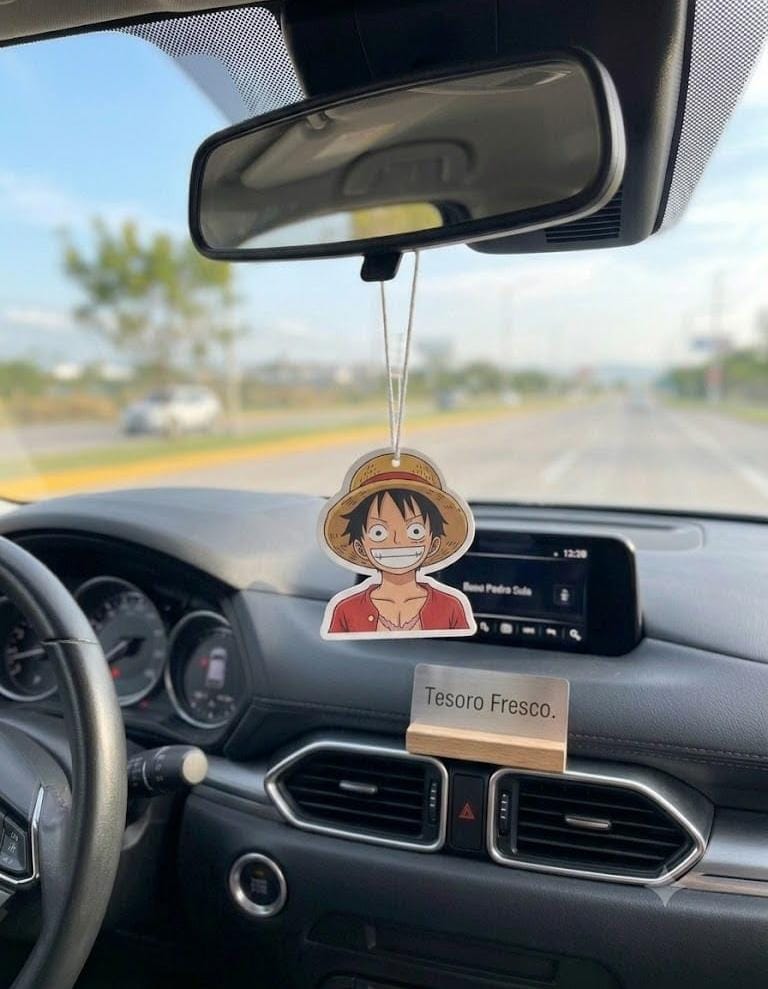 ACCESORIO PARA COCHE🚗