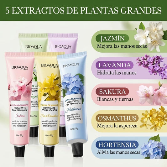 Manos de Seda: El Poder Natural de las Flores.