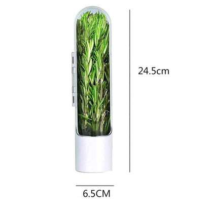 🌿 Recipiente para Conservación de Hierbas