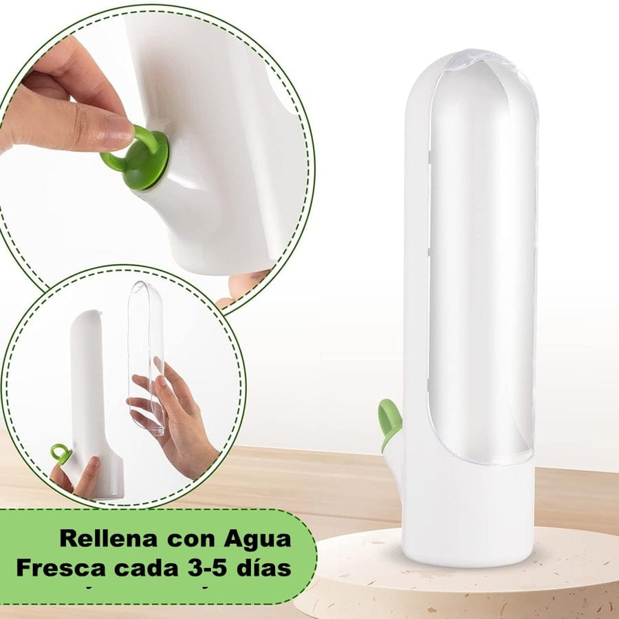 🌿 Recipiente para Conservación de Hierbas