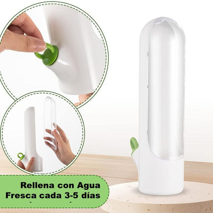 🌿 Recipiente para Conservación de Hierbas