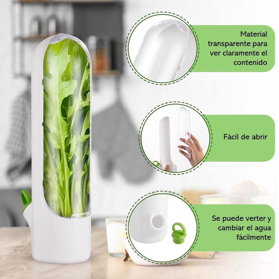 🌿 Recipiente para Conservación de Hierbas