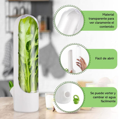 🌿 Recipiente para Conservación de Hierbas